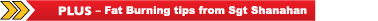 Plus - Fat Burning Tips